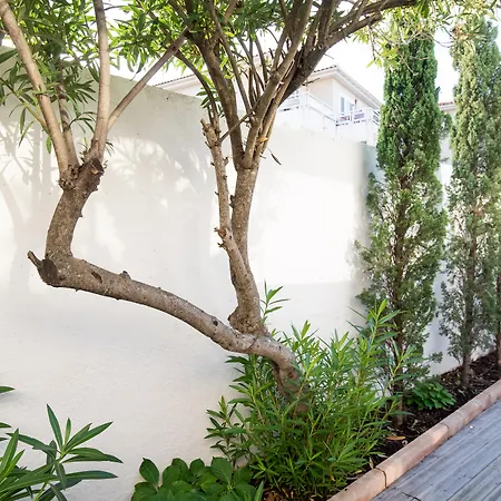 Campo Di Fiori, Maisons De Charme Calvi (Corsica)